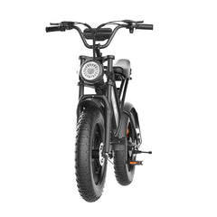 Happyrun Electric Bike Fat Tire Cargo City E-bike G50