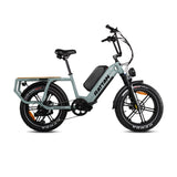 Rattan Quercus Fat Tire 750W 48V Cargo Electric Bike