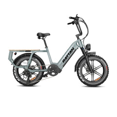 Rattan Quercus Fat Tire 750W 48V Cargo Electric Bike