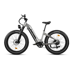 Rattan Sequoia Fat Tire 750W 48V Electric Bike