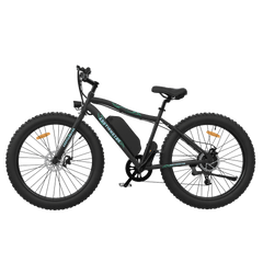 Aostirmotor S07-P 500W 36V Fat Tire Electric Mountain Bike