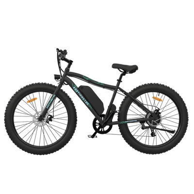 Aostirmotor S07-P 500W 36V Fat Tire Electric Mountain Bike