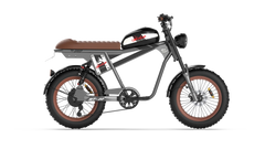 Vtuvia Tiger Plus Electric Bike