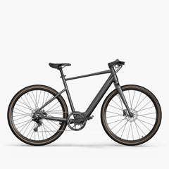 Fiido C21 gravel & city e-bike