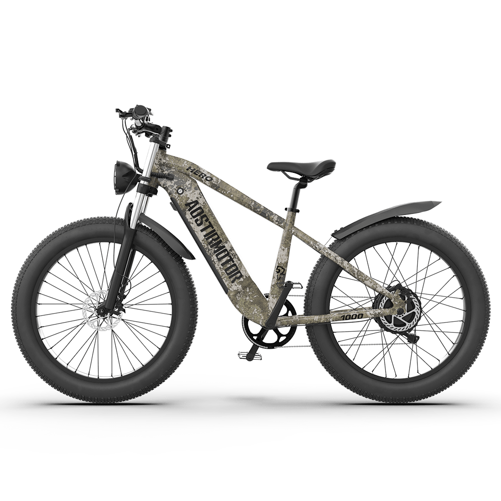 Aostirmotor  Off-road Electric Bike Hero