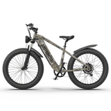 Aostirmotor  Off-road Electric Bike Hero