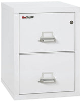 FireKing 2-Drawer 25" Deep 1-Hour Rated Fireproof File Cabinet, Letter