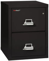 FireKing 2-Drawer 25" Deep 1-Hour Rated Fireproof File Cabinet, Letter
