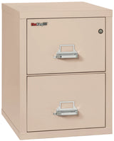 FireKing 2-Drawer 25" Deep 1-Hour Rated Fireproof File Cabinet, Letter