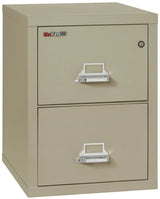 FireKing 2-Drawer 25" Deep 1-Hour Rated Fireproof File Cabinet, Letter