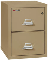 FireKing 2-Drawer 25" Deep 1-Hour Rated Fireproof File Cabinet, Letter