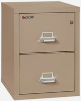 FireKing 2-Drawer 25" Deep 1-Hour Rated Fireproof File Cabinet, Letter