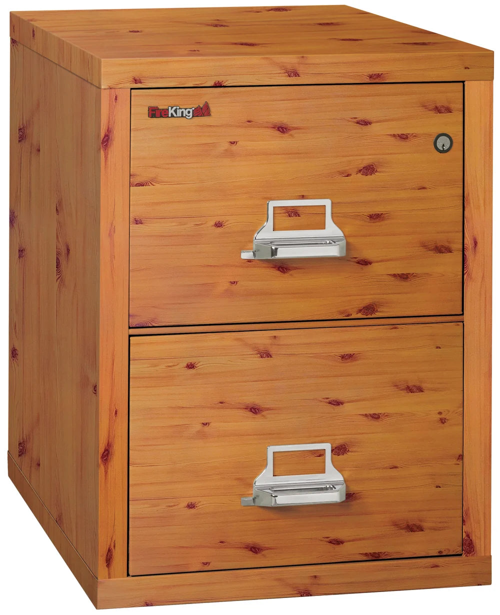 FireKing 2-Drawer 25" Deep 1-Hour Rated Fireproof File Cabinet, Letter