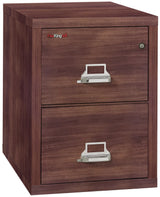 FireKing 2-Drawer 25" Deep 1-Hour Rated Fireproof File Cabinet, Letter