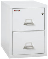 FireKing 2-Drawer 31" Deep 1-Hour Rated Fireproof File Cabinet, Letter
