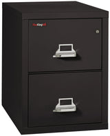 FireKing 2-Drawer 31" Deep 1-Hour Rated Fireproof File Cabinet, Letter