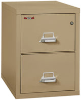 FireKing 2-Drawer 31" Deep 1-Hour Rated Fireproof File Cabinet, Letter