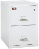 FireKing 2-Drawer 31" Deep 2-Hour Rated Fireproof File Cabinet, Letter