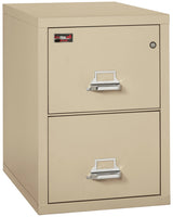 FireKing 2-Drawer 31" Deep 2-Hour Rated Fireproof File Cabinet, Letter