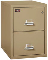 FireKing 2-Drawer 31" Deep 2-Hour Rated Fireproof File Cabinet, Letter