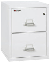 FireKing 2-Drawer 25" Deep 1-Hour Rated Fireproof File Cabinet, Legal