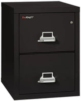 FireKing 2-Drawer 25" Deep 1-Hour Rated Fireproof File Cabinet, Legal