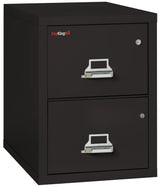FireKing Safe-In-A-File 2-Drawer 31" Deep 1-Hour Rated Fireproof File Cabinet, Legal