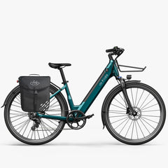 Fiido C11 Electric Bike