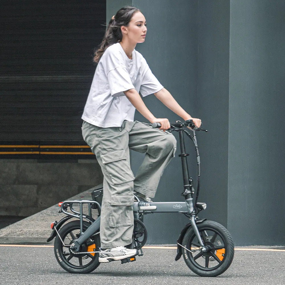Fiido 350W L3 Long Range Electric Bike