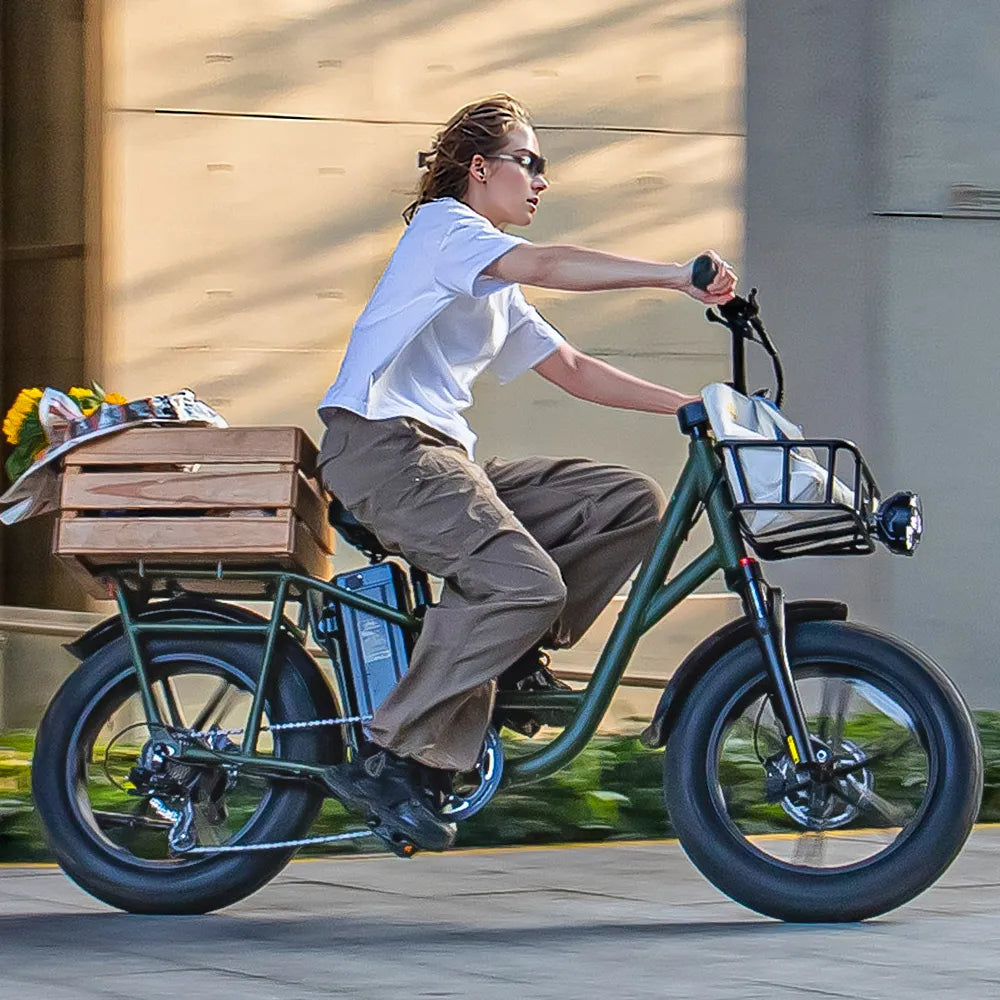Fiido T1 Pro Cargo E-Bike, Fat Tire, 60Nm, 750W Motor