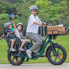 Fiido T2 Longtail Cargo E-bike 750W, 440LBS Capacity