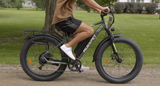 Mukkpet Suburban 750W Fat Tire Electric Bike