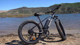 Mukkpet Suburban 750W Fat Tire Electric Bike