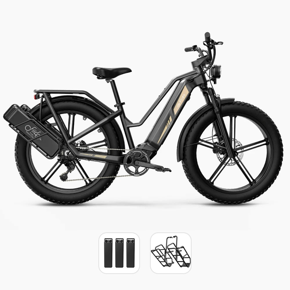 Fiido Titan Cargo Electric Bike | Fat Tire Mountain E-Bike | 84 Miles Long Distance Assist Rang