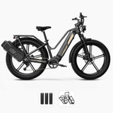 Fiido Titan Cargo Electric Bike | Fat Tire Mountain E-Bike | 84 Miles Long Distance Assist Rang