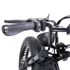 NAKTO Fat Tire Ebike F2