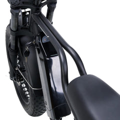 NAKTO Fat Tire Ebike F2