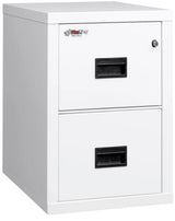 FireKing Turtle 2-Drawer 22" Deep 1-Hour Rated Fireproof File Cabinet, Letter & Legal