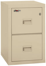 FireKing Turtle 2-Drawer 22" Deep 1-Hour Rated Fireproof File Cabinet, Letter & Legal