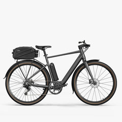 Fiido C21 gravel & city e-bike