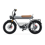 COSWHEEL CT20 Electric Bike (1000W 25Ah)
