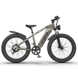 Aostirmotor  Off-road Electric Bike Hero