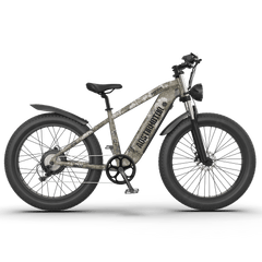 Aostirmotor  Off-road Electric Bike Hero