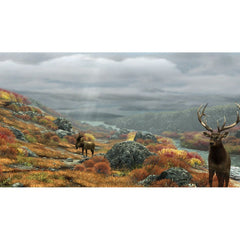 Raw Thrills Big Buck Hunter Reloaded Panorama Gun Shooting Arcade Game Online