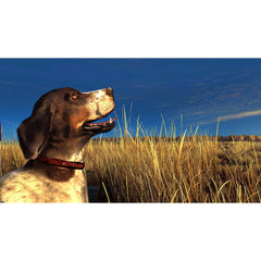 Raw Thrills Big Buck Hunter Reloaded Panorama Gun Shooting Arcade Game Online