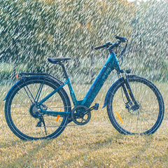 Fiido C11 Electric Bike