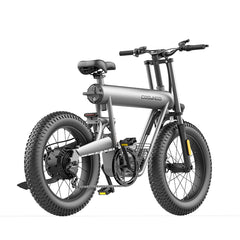 COSWHEEL T20 Electric Bike (500W 20Ah)