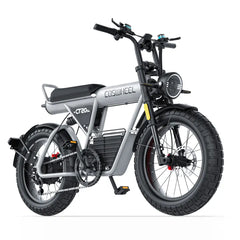 COSWHEEL CT20S Electric Bike (1500W)