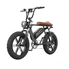 AOSTIRMOTOR Storm Super Cool 750W 48V 12.5Ah Moped Style Electric Bike