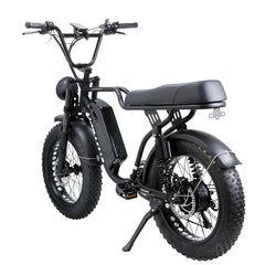 NAKTO Fat Tire Ebike F2
